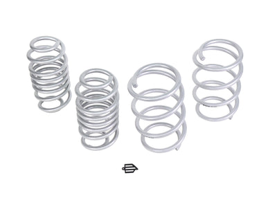 Lowered Front and Rear Lower Coil Spring Lowering Kit<br>22-26 Kia EV6