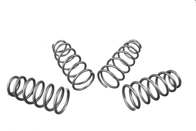 Performance Lowering Kit<br>17-26 Tesla 3