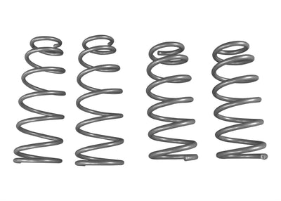 Performance Lowering Kit<br>17-26 Tesla 3