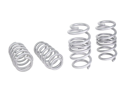 Lowered Front and Rear Lower Coil Spring Lowering Kit<br>17-26 Tesla Model 3 RWD