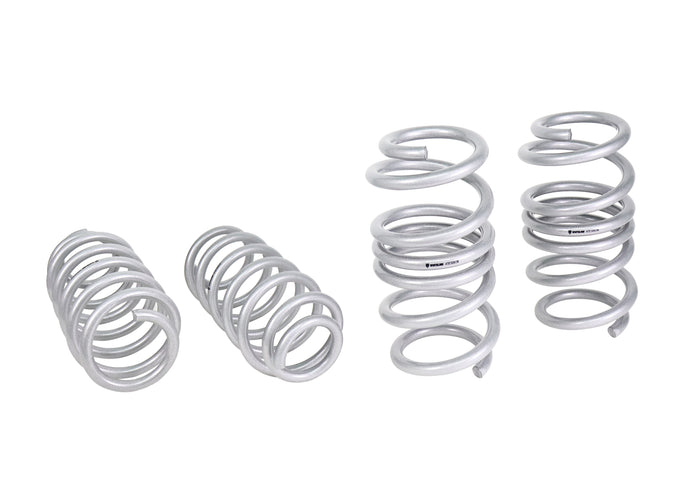 Lowered Front and Rear Lower Coil Spring Lowering Kit<br>17-26 Tesla Model 3 RWD