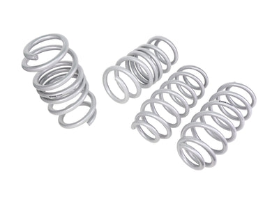 Lowered Front and Rear Lower Coil Spring Lowering Kit<br>17-26 Tesla Model 3 RWD