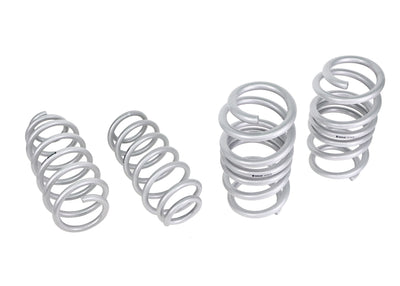 Lowered Front and Rear Lower Coil Spring Lowering Kit<br>17-26 Tesla Model 3 RWD