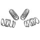 Performance Lowering Kit<br>15-19 Volkswagen Golf R