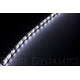 Cool White 50cm Strip SMD30 WP