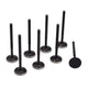 High Compression Intake Valve Set (Set of 8)<br> Honda B18/ B20