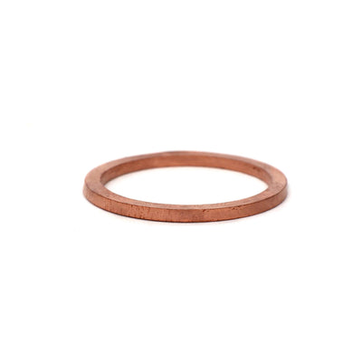 2 Pack Fuel Inlet Fitting Crush Washers<br> Universal