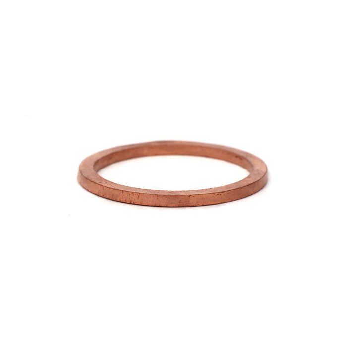 2 Pack Fuel Inlet Fitting Crush Washers<br> Universal