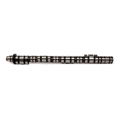 Type-B Street/Strip Camshafts<br> Honda K20A2