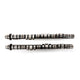 Type-B Street/Strip Camshafts<br> Honda K20A2