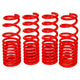 Lowering Springs<br> 94-01 Acura Integra