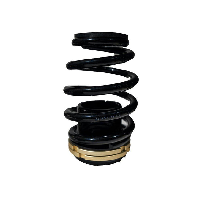 Plus Series Fully Adjustable Coilovers<br> 14-15 Honda Civic SI
