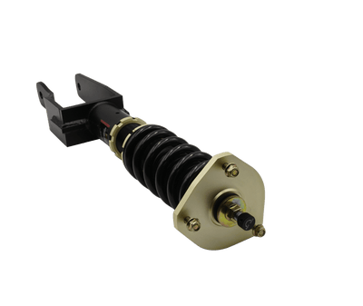 Plus Series Fully Adjustable Coilovers<br> 17-22 Tesla Model 3 Awd
