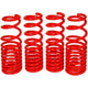 Lowering Springs<br> Tesla Model 3
