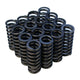 Valve Springs<br> Honda D-series VTEC