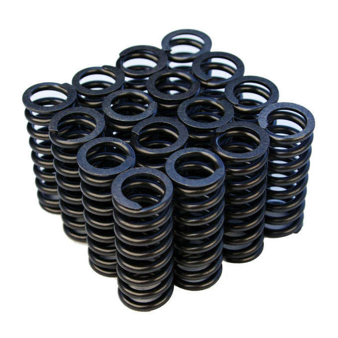 Valve Springs<br> Honda D-series VTEC