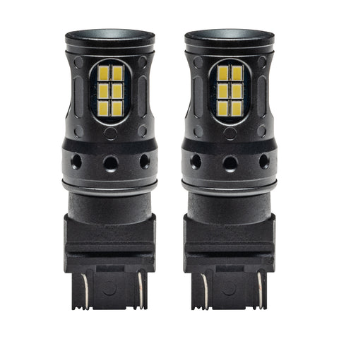 Back Up Light Bulbs
