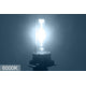 H1 DT 6000K HID Fog Light Bulbs - HID-DT-LB-H1-6K