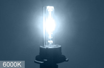 H1 DT 6000K HID Fog Light Bulbs - HID-DT-LB-H1-6K