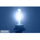 D2S DT 8000K HID Low Beam Headlight Bulbs - HID-DT-LB-D2S-8K