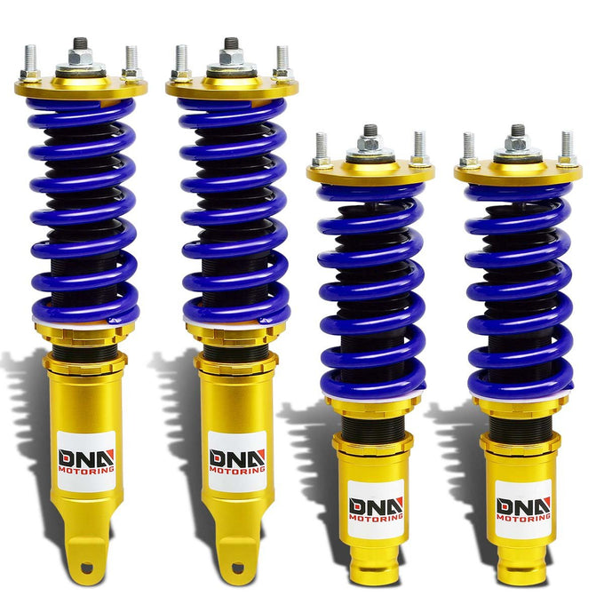 DNA-COIL-DP-HC96-GD-BL - 2