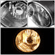 D-Motoring - Fog Lights - W / Switch - Clear Lens - Plug-n-Play - Pair - Nissan Sentra / Maxima / Frontier / Xterra - 2