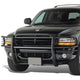 D-Motoring - Brush Guard - Coated - Mild Steel - Dodge RAM 1500 Sport - 1