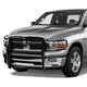 D-Motoring - Brush Guard - Coated - Mild Steel - 09-17 Dodge RAM 1500 - 1