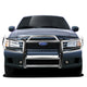 D-Motoring - Brush Guard - Stainless Steel - Ford Expedition / F-150 / F-250 4WD LD - 2