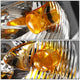 D-Motoring - Headlights - RGB Color LED U-Halo - Chrome Housing - Projector - Plug-n-Play - Pair - 00-03 BMW X5 - 5