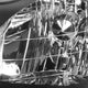 D-Motoring - Headlights - Black Housing - Clear Lens - Clear Corner - Plug-n-Play - Pair - 00-04 Toyota Avalon - 3