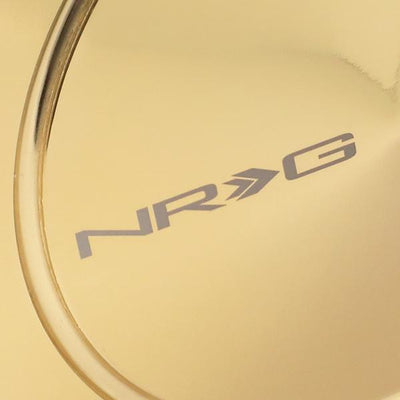 NRG-SRK-201C-GD - 2