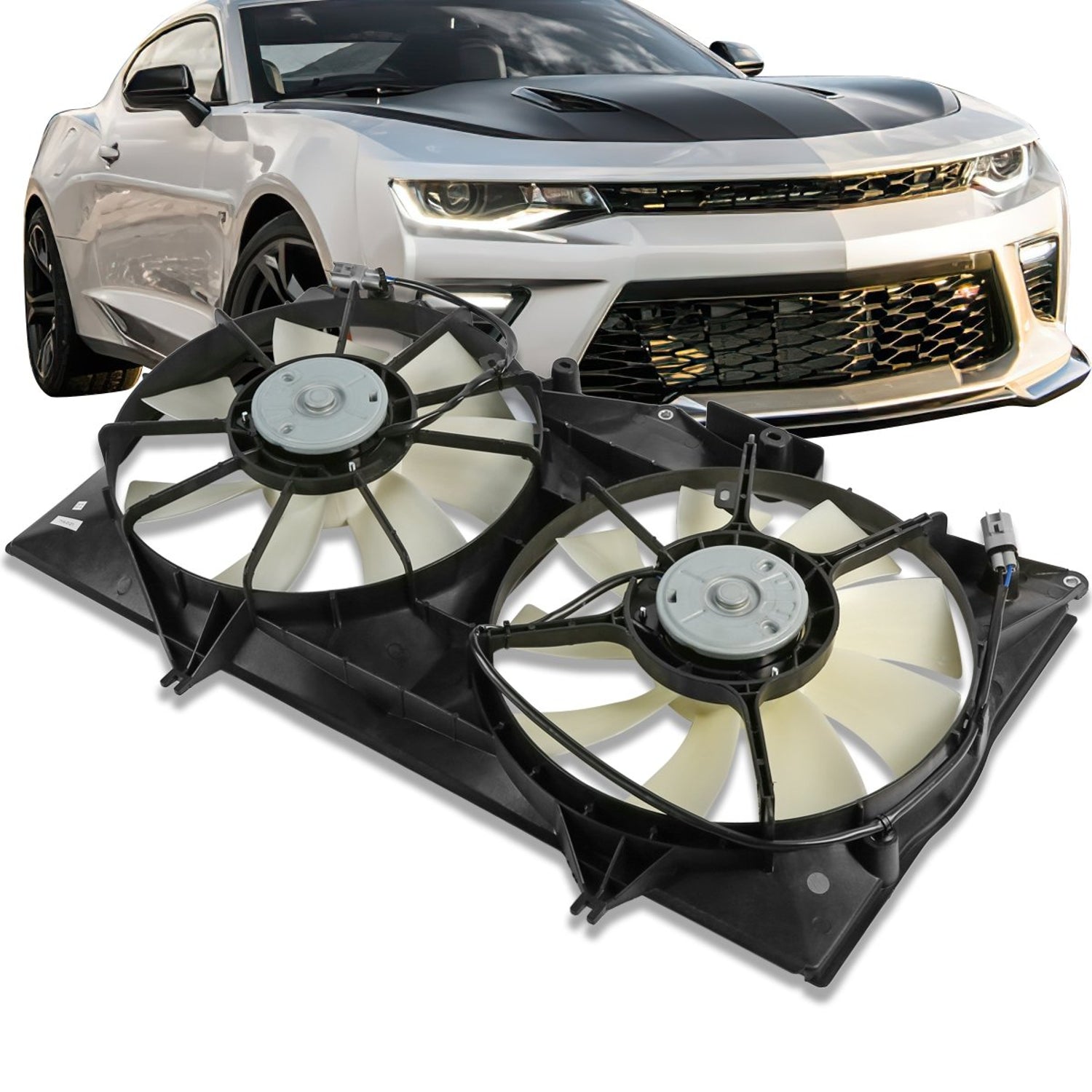 OEM-RF-0264 - 1