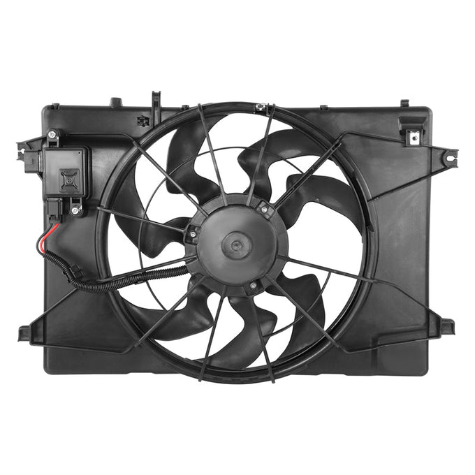 OEM-RF-1174 - 7