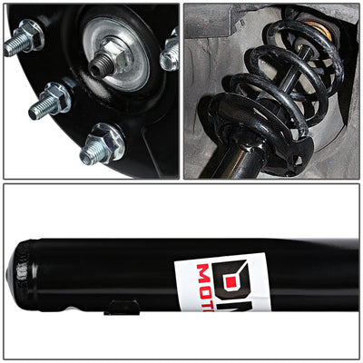 D-Motoring - Strut Assemblies - Mild Steel - Set of 2 - 98-02 Honda Accord - 5
