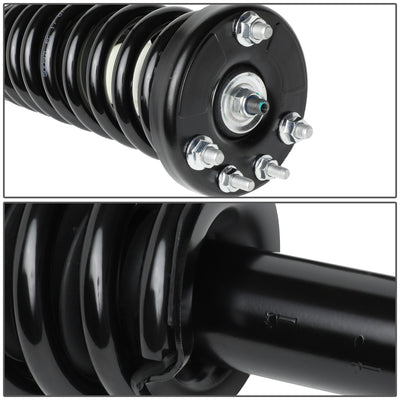 D-Motoring - Strut Assemblies - Mild Steel - Set of 2 - 03-07 Honda Accord - 2