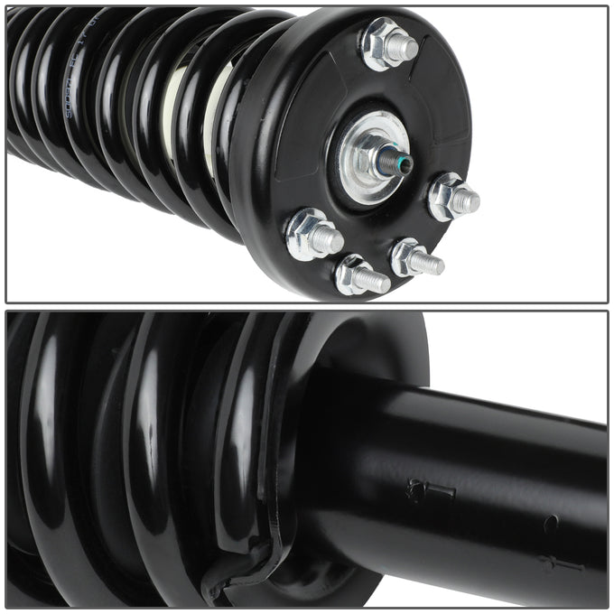 D-Motoring - Strut Assemblies - Mild Steel - Set of 2 - 03-07 Honda Accord - 2