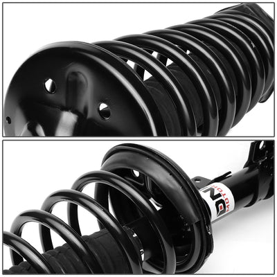 SHO-OE-00059-RLR - 4