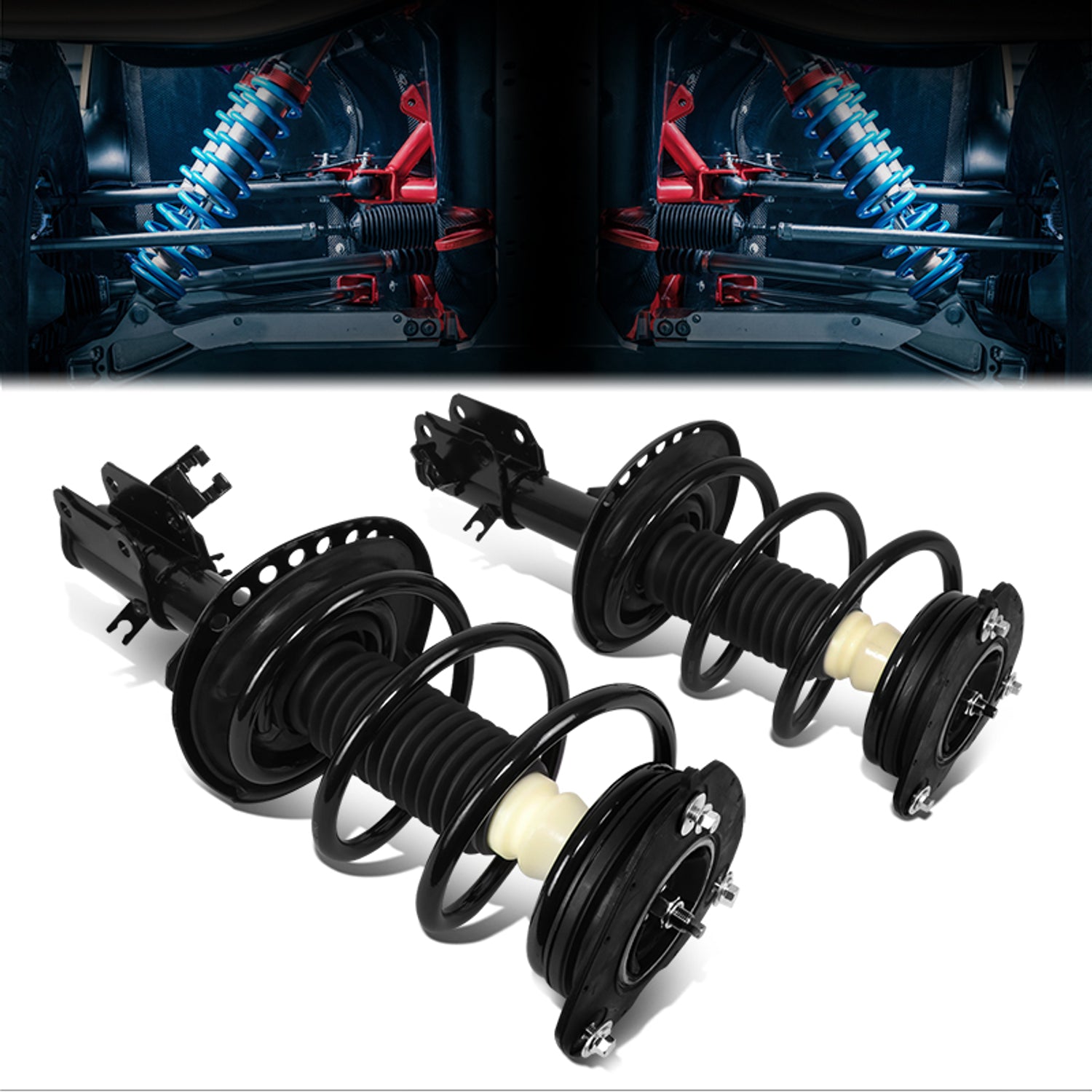 SHO-OE-00069-FLR - 1