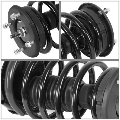 SHO-OE-00075-FLR - 2