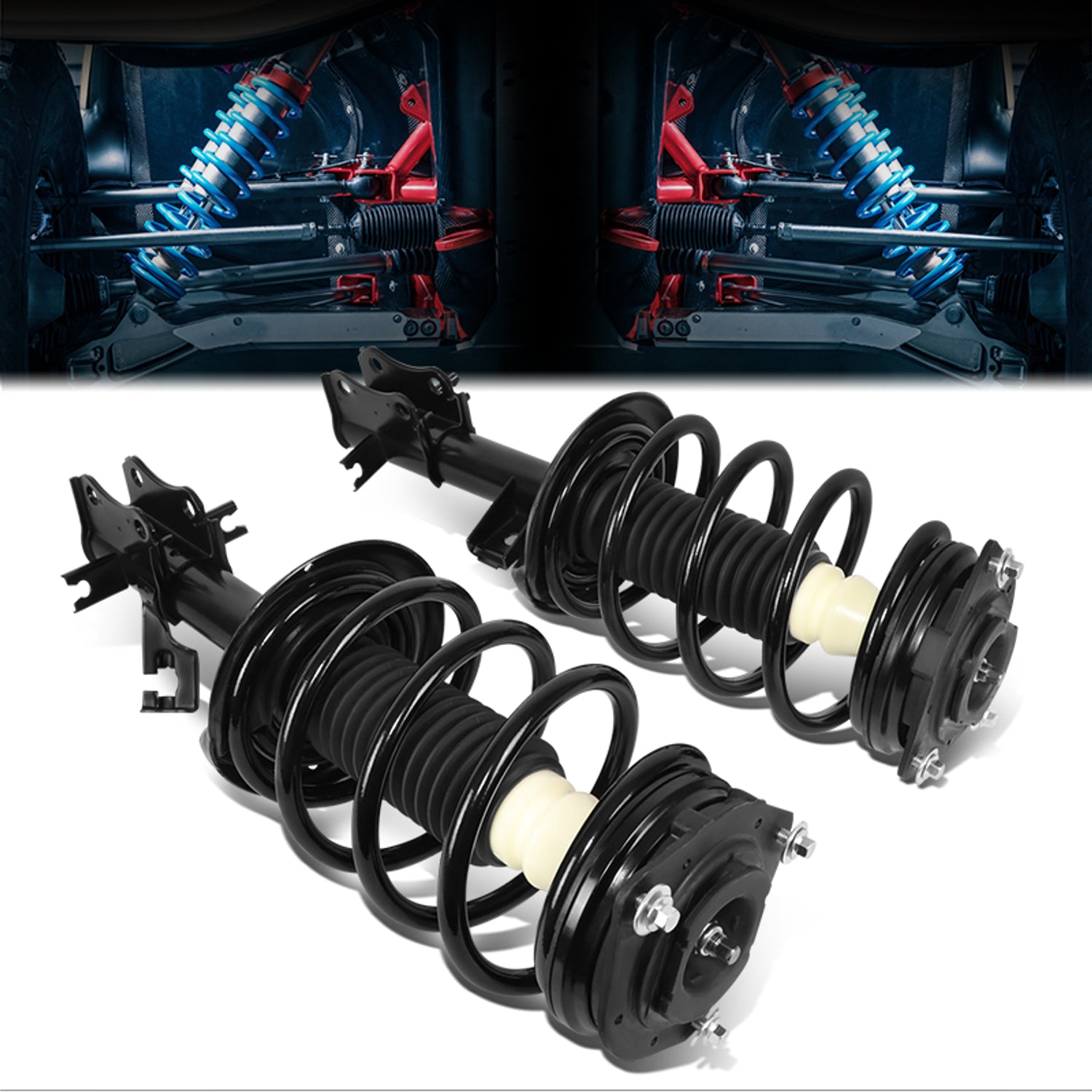 SHO-OE-00079-FLR - 1