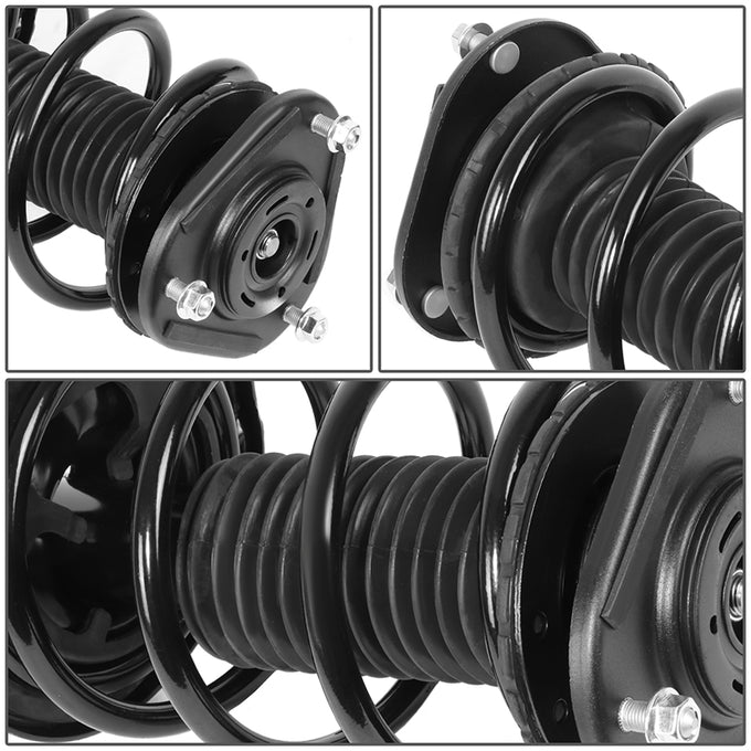 SHO-OE-00085-FLR - 2