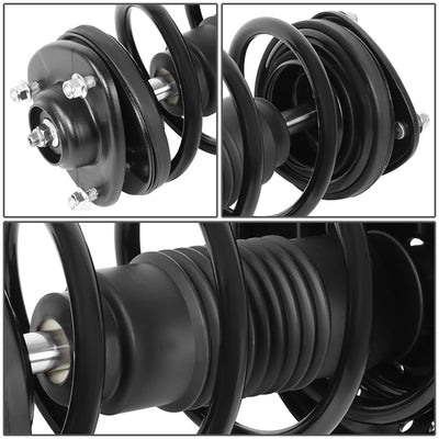 SHO-OE-00086-FLR - 2