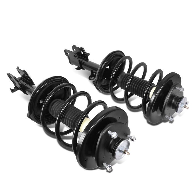 SHO-OE-00088-FLR - 1