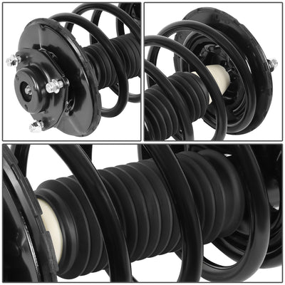 SHO-OE-00093-FLR - 3