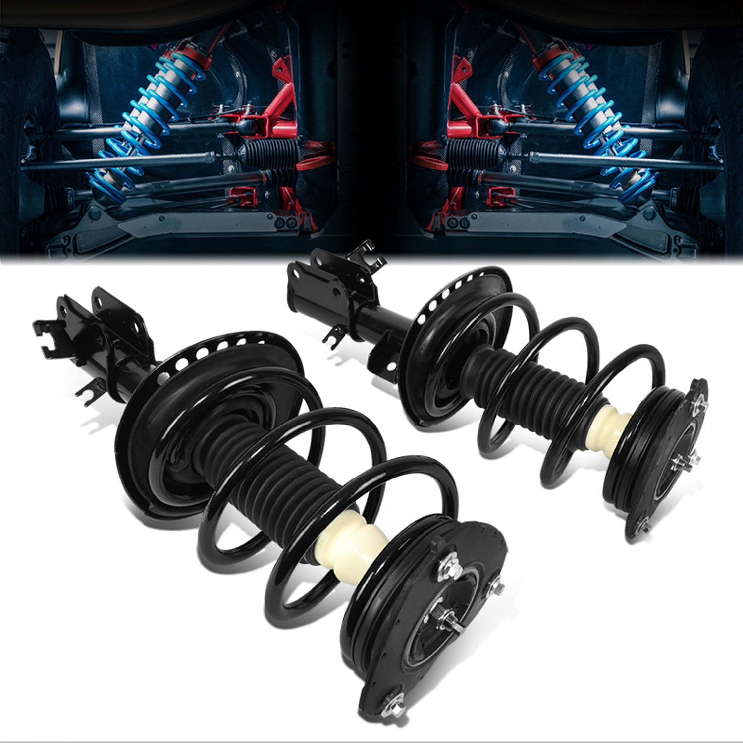 SHO-OE-00098-FLR - 1