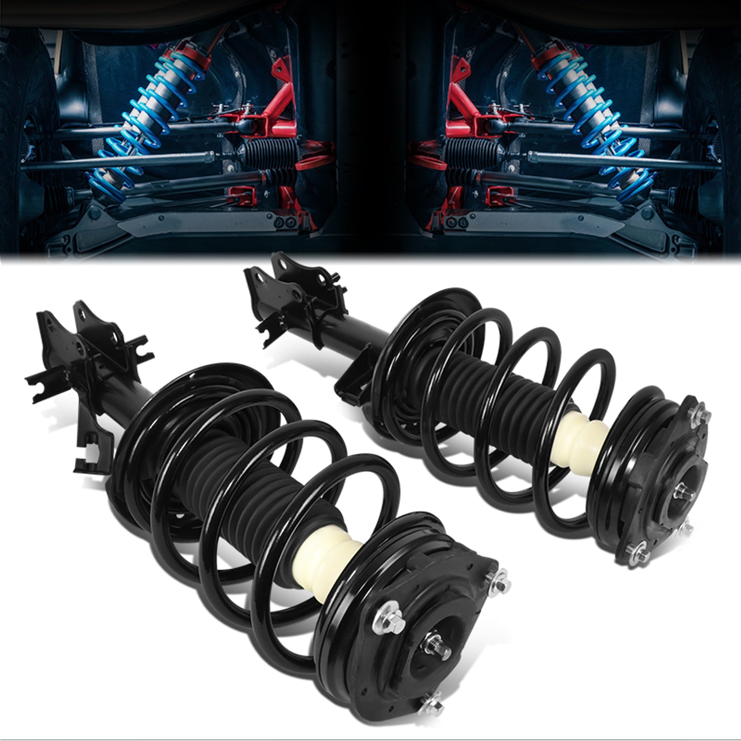 SHO-OE-00103-FLR - 1