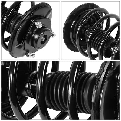 SHO-OE-00113-FLR - 2