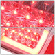 D-Motoring - Tail lights - Red LED L-Bar - Chrome Housing - Clear Lens - Plug-n-Play - Pair - Ford F-150 / F-150 Heritage / F-250 SD / F350 SD / F-450 SD / F-550 SD - 3